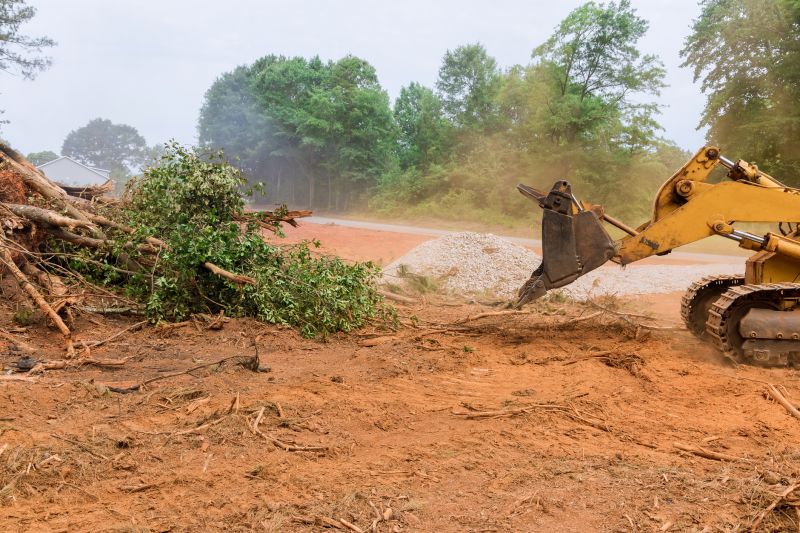 Building Site Clearing in Houston, TX