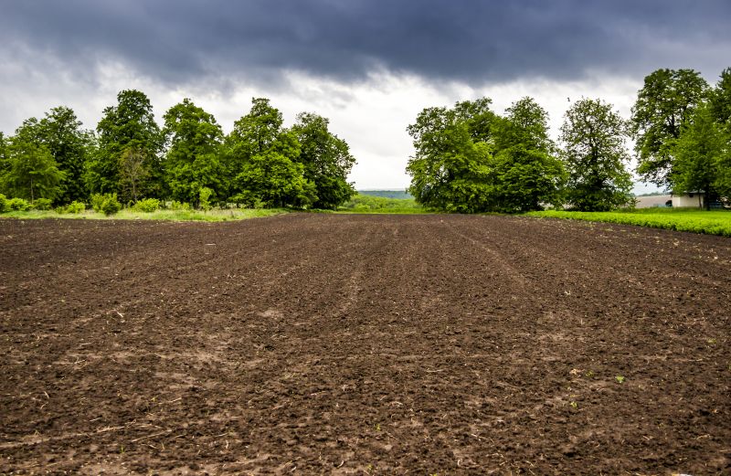 Farm Clearing in Atlanta, GA