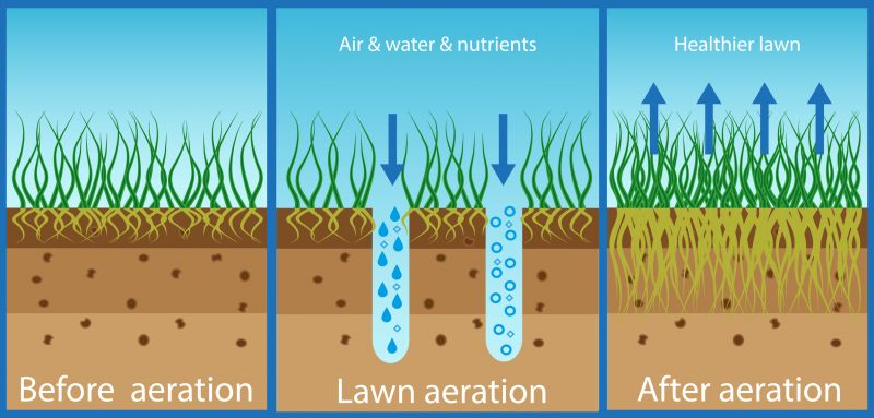 Soil Preparation Process