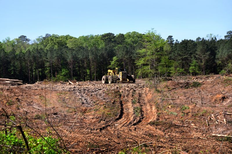 Hill Clearing in Marietta, GA
