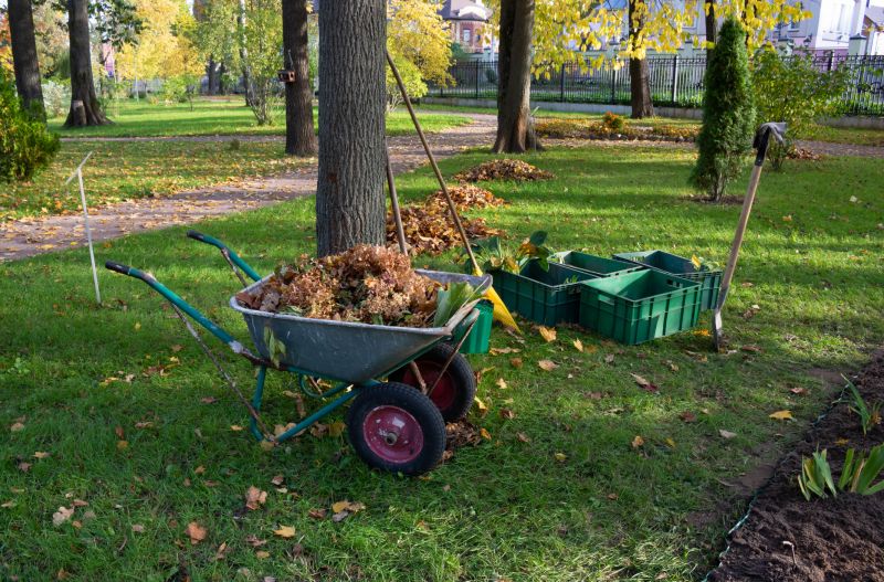 Site Clearing Service in Houston, TX