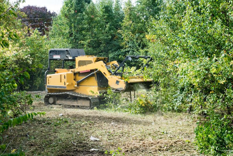 Slope Clearing in Atlanta, GA