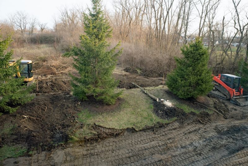 Thicket Clearing in Salt Lake City, UT